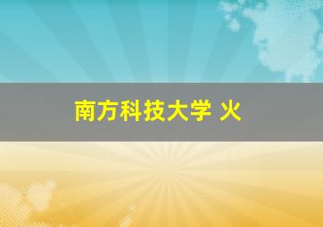 南方科技大学 火